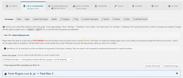 CSS dan JS Manager