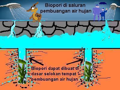 Menangani Limbah Organik Dengan Biopori