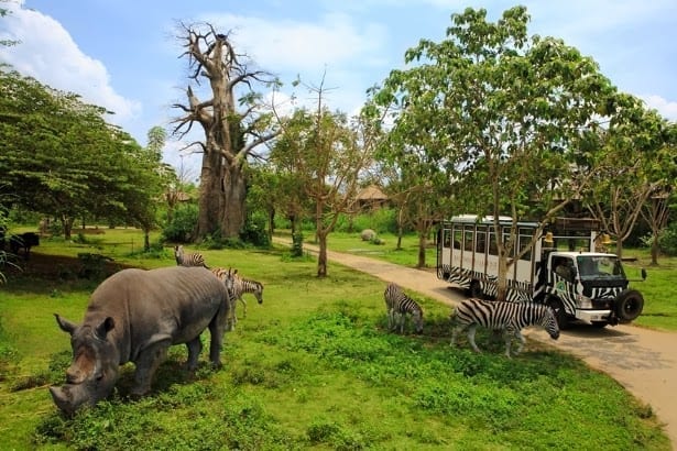 Nikmati Paket Wisata Bali ke Kebun Binatang