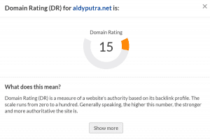 Domain Rating Blog