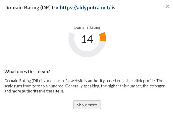 Domain Rating aldyputra